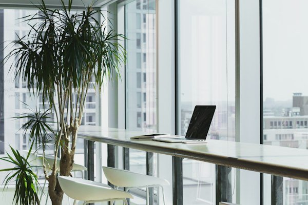 Work Permits & LMIA Pathways